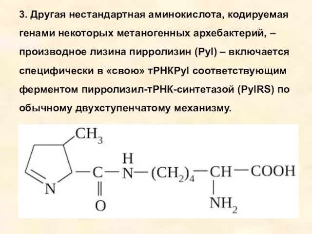 3. Другая нестандартная аминокислота, кодируемая генами некоторых метаногенных архебактерий, –