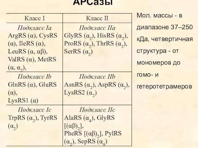 АРСазы Мол. массы - в диапазоне 37–250 кДа, четвертичная структура