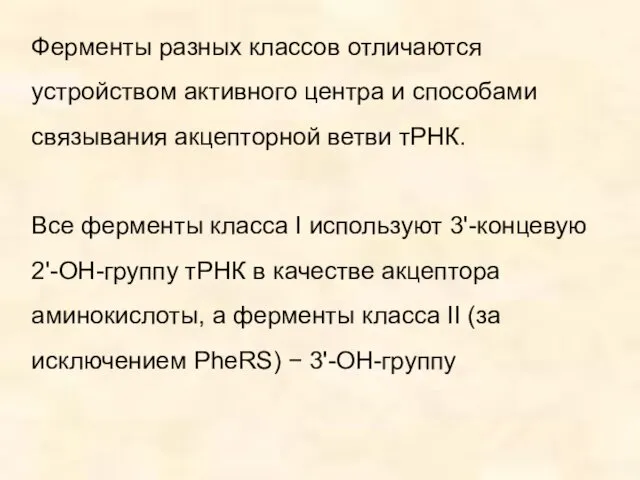 Ферменты разных классов отличаются устройством активного центра и способами связывания