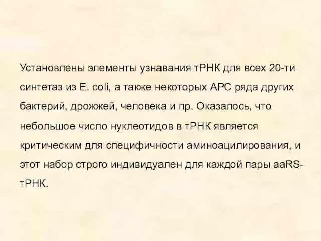 Установлены элементы узнавания тРНК для всех 20-ти синтетаз из E.