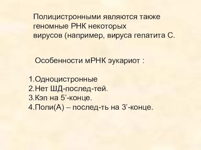 Особенности мРНК эукариот : Одноцистронные Нет ШД-послед-тей. Кэп на 5’-конце.