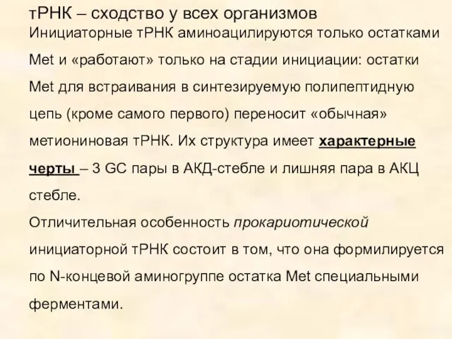 тРНК – сходство у всех организмов Инициаторные тРНК аминоацилируются только