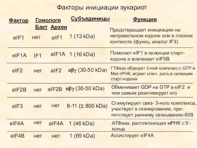 Факторы инициации эукариот Фактор Гомологи Бакт Археи Субъединицы Функции eIF1