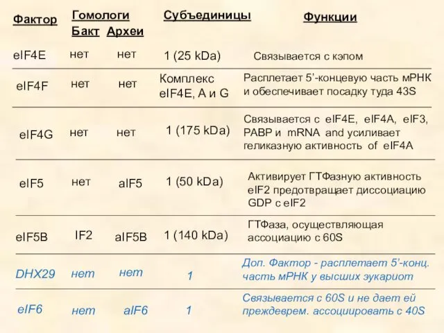 Фактор Субъединицы Функции eIF4E нет 1 (25 kDa) Связывается с