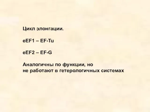 Цикл элонгации. eEF1 – EF-Tu eEF2 – EF-G Аналогичны по