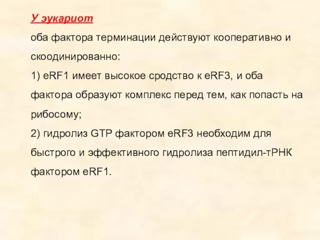 У эукариот оба фактора терминации действуют кооперативно и скоодинированно: 1)