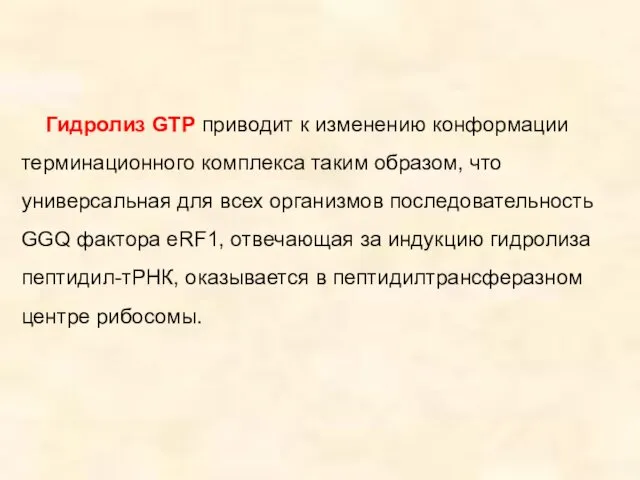 Гидролиз GTP приводит к изменению конформации терминационного комплекса таким образом,