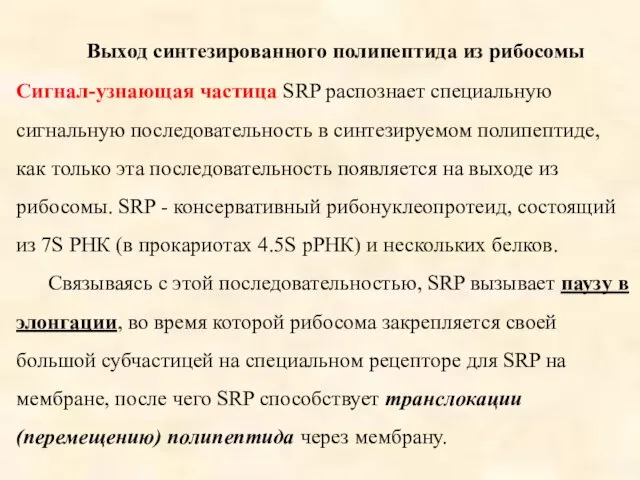 Выход синтезированного полипептида из рибосомы Сигнал-узнающая частица SRP распознает специальную