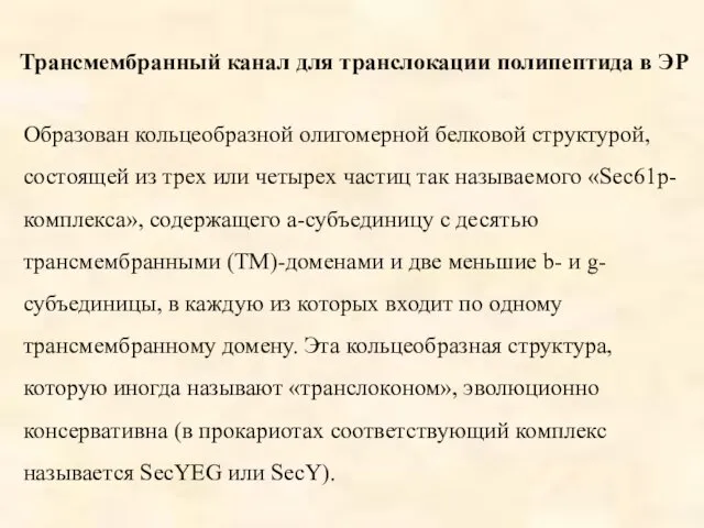 Трансмембранный канал для транслокации полипептида в ЭР Образован кольцеобразной олигомерной