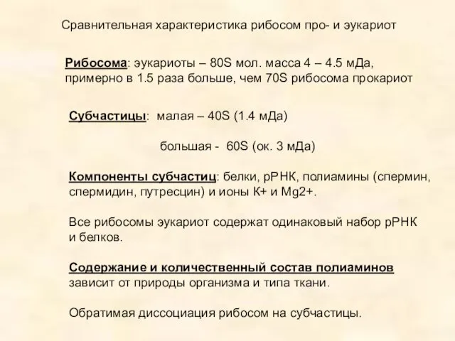 Сравнительная характеристика рибосом про- и эукариот Субчастицы: малая – 40S