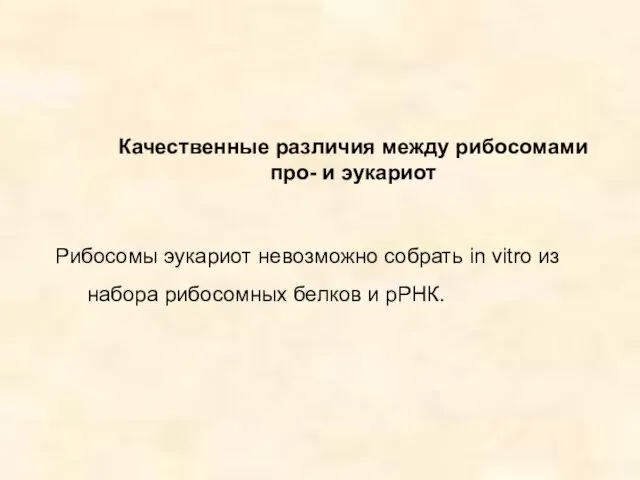 Качественные различия между рибосомами про- и эукариот Рибосомы эукариот невозможно