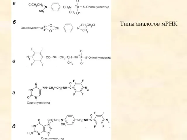 Типы аналогов мРНК