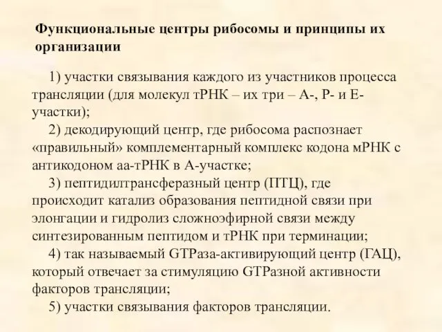 Функциональные центры рибосомы и принципы их организации 1) участки связывания