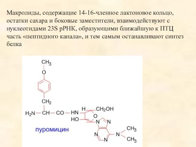 Макролиды, содержащие 14-16-членное лактоновое кольцо, остатки сахара и боковые заместители,