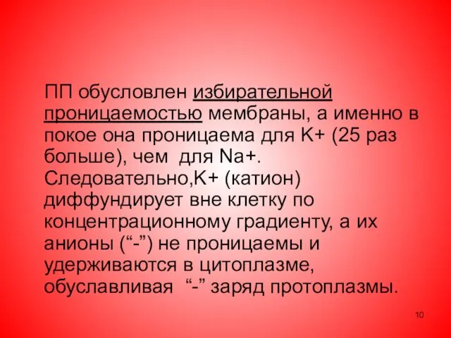 ПП обусловлен избирательной проницаемостью мембраны, а именно в покое она