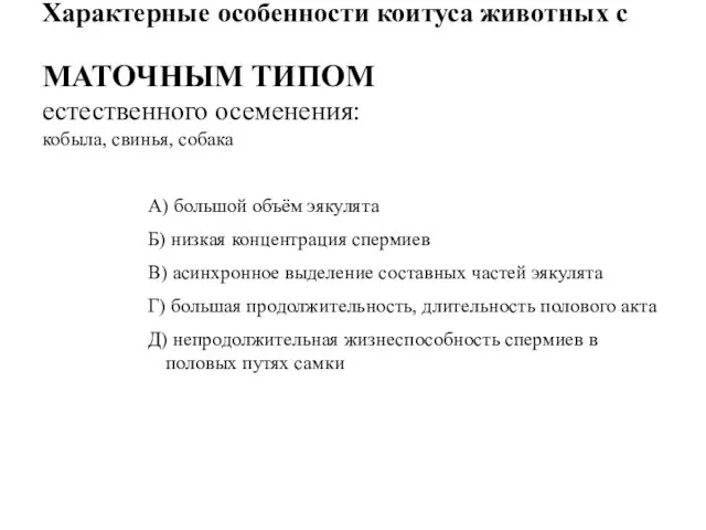 Характерные особенности коитуса животных с МАТОЧНЫМ ТИПОМ естественного осеменения: кобыла, свинья, собака А)