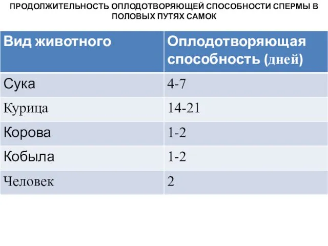 ПРОДОЛЖИТЕЛЬНОСТЬ ОПЛОДОТВОРЯЮЩЕЙ СПОСОБНОСТИ СПЕРМЫ В ПОЛОВЫХ ПУТЯХ САМОК