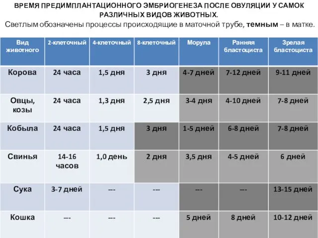 ВРЕМЯ ПРЕДИМПЛАНТАЦИОННОГО ЭМБРИОГЕНЕЗА ПОСЛЕ ОВУЛЯЦИИ У САМОК РАЗЛИЧНЫХ ВИДОВ ЖИВОТНЫХ.