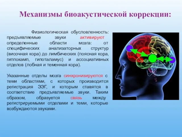 Механизмы биоакустической коррекции: Физиологическая обусловленность: предъявляемые звуки активируют определенные области мозга: от специфических