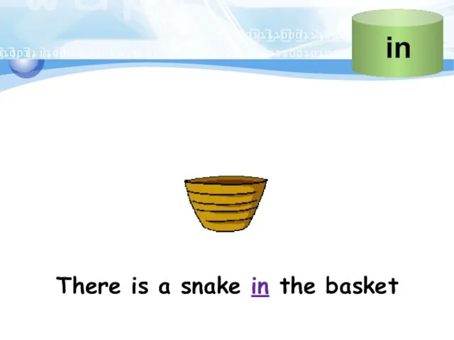 There is a snake in the basket