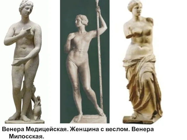 Венера Медицейская. Женщина с веслом. Венера Милосская.