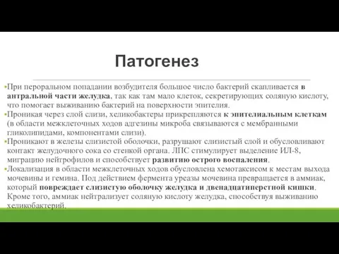 Патогенез При пероральном попадании возбудителя большое число бактерий скапливается в