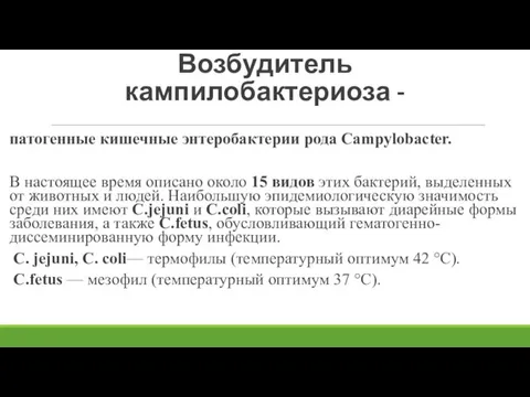 Возбудитель кампилобактериоза - патогенные кишечные энтеробактерии рода Campylobacter. В настоящее