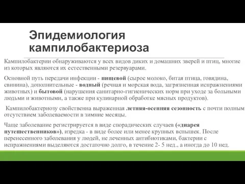 Эпидемиология кампилобактериоза Кампилобактерии обнаруживаются у всех видов диких и домашних