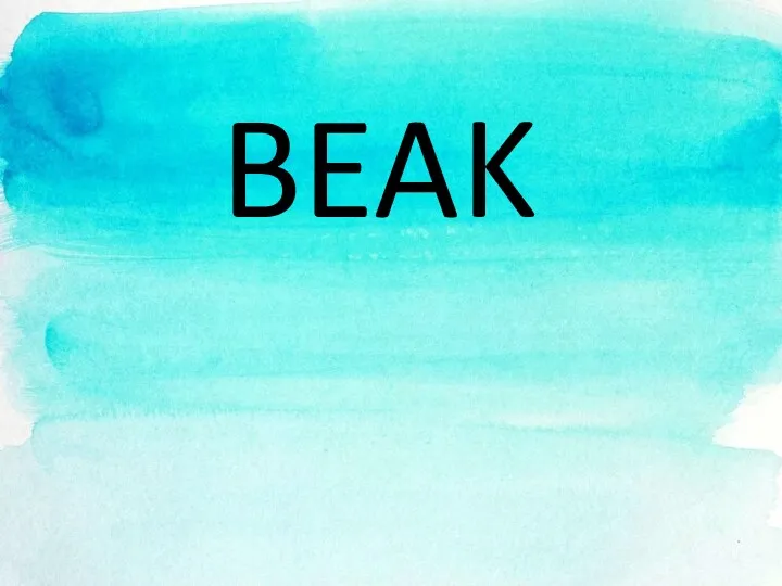 BEAK