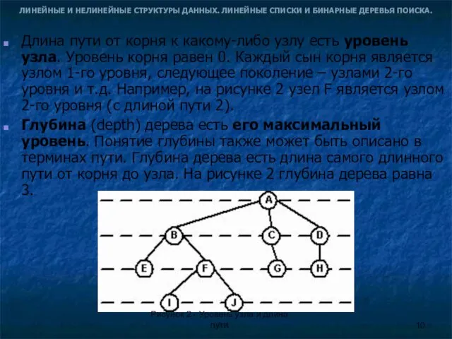 ЛИНЕЙНЫЕ И НЕЛИНЕЙНЫЕ СТРУКТУРЫ ДАННЫХ. ЛИНЕЙНЫЕ СПИСКИ И БИНАРНЫЕ ДЕРЕВЬЯ