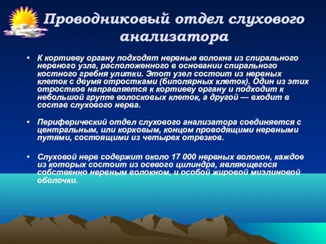 Проводниковый отдел слухового анализатора К кортиеву органу подходят нервные волокна