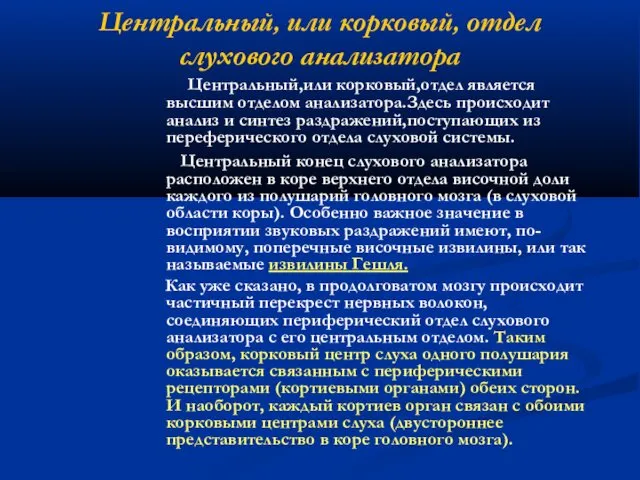 Центральный, или корковый, отдел слухового анализатора Центральный,или корковый,отдел является высшим