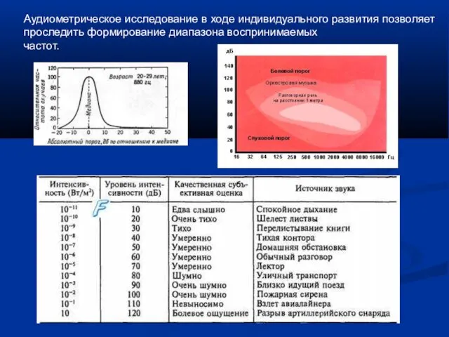 Аудиометрическое исследование в ходе индивидуального развития позволяет проследить формирование диапазона воспринимаемых частот.