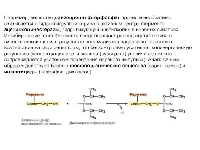 Например, вещество диизопропилфторфосфат прочно и необратимо связывается с гидроксигруппой серина в активном центре