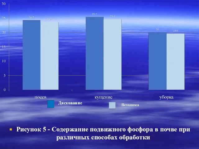 Рисунок 5 - Содержание подвижного фосфора в почве при различных способах обработки Дискование