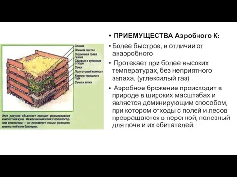 ПРИЕМУЩЕСТВА Аэробного К: Более быстрое, в отличии от анаэробного Протекает