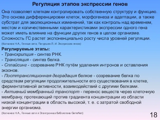 Регуляция этапов экспрессии генов 18 Она позволяет клеткам контролировать собственную