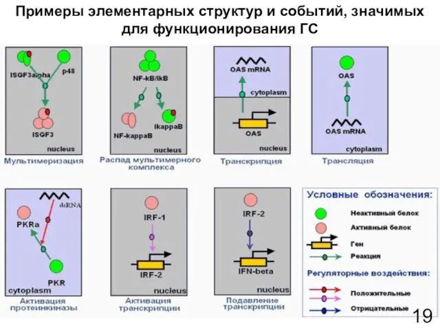 Примеры элементарных структур и событий, значимых для функционирования ГС 19