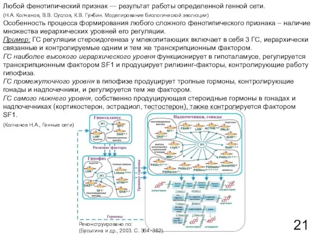 Любой фенотипический признак — результат работы определенной генной сети. Особенность