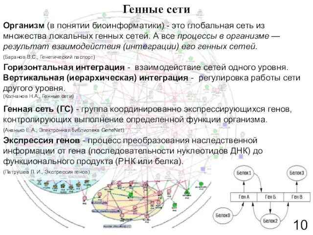 Генные сети Организм (в понятии биоинформатики) - это глобальная сеть