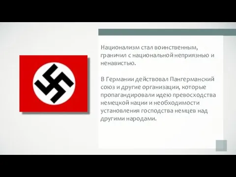 Национализм стал воинственным, граничил с национальной неприязнью и ненавистью. В