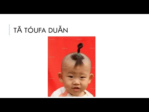 TĀ TÓUFA DUǍN