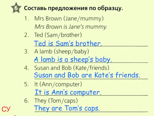 СУ стp.8 Ted is Sam’s brother. A lamb is a sheep’s baby. Susan