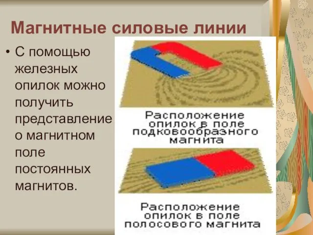 Магнитные силовые линии С помощью железных опилок можно получить представление о магнитном поле постоянных магнитов.