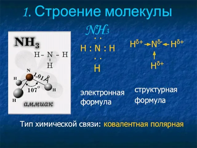 1. Строение молекулы NH3 Hδ+ Nδ- Hδ+ Hδ+ структурная формула