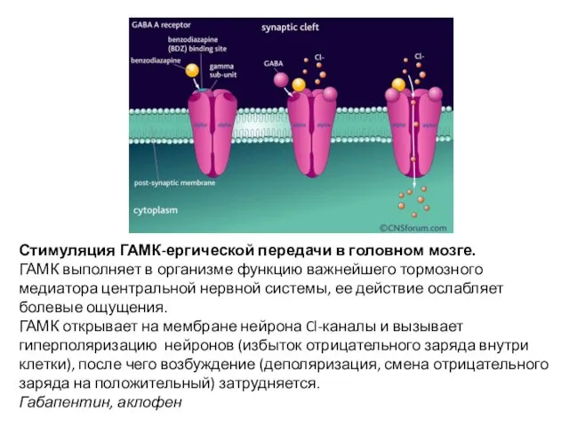 Стимуляция ГАМК-ергической передачи в головном мозге. ГАМК выполняет в организме