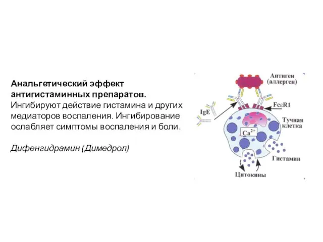 Анальгетический эффект антигистаминных препаратов. Ингибируют действие гистамина и других медиаторов