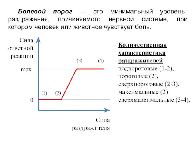 Сила ответной реакции 0 max (1) (2) (3) (4) Количественная