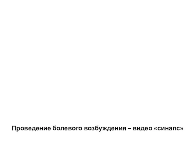 Проведение болевого возбуждения – видео «синапс»