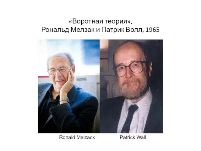 «Воротная теория», Рональд Мелзак и Патрик Волл, 1965 Ronald Melzack Patrick Wall